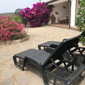 Studio Apartments-ucuppu Casa vacanze